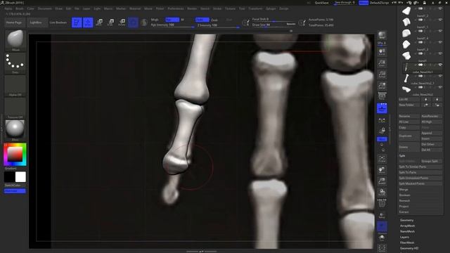 How to Sculpt Skeleton Hand Bone in Zbrush _ (part 5)  Anatomy Study Ep-7 _ Ch-26