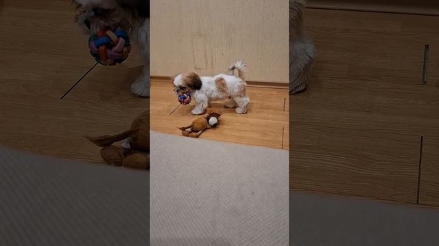 1000022612.mp4