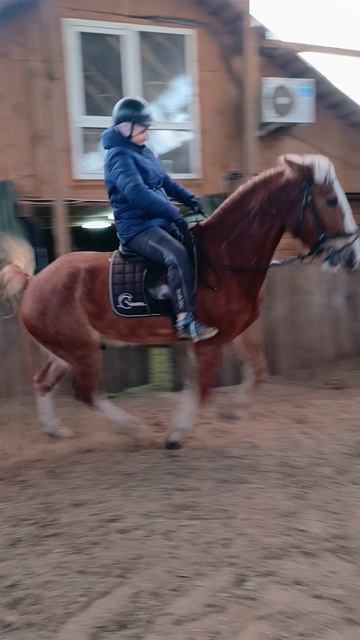 Светлана и Каспер. Подъем в галоп в углу. #horse #equestrian #лошади #pony