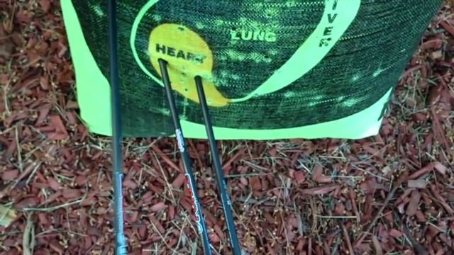 PSE X-FORCE DNA BOW REVIEW