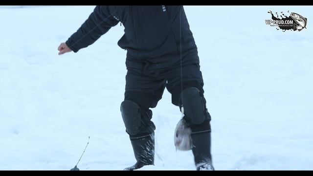 ловля форели 16.01.22