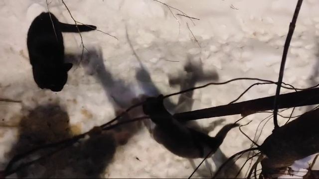 1000304319.mp4