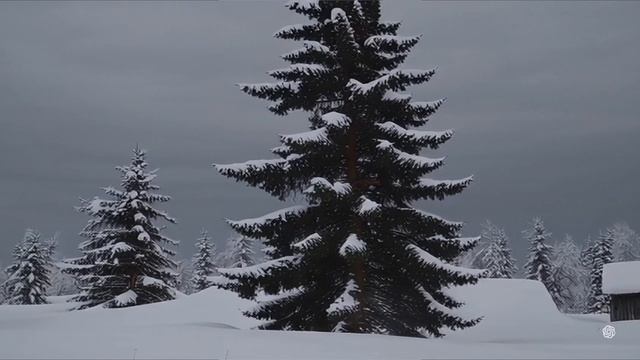 ЗАМЕЛО ТЕБЯ СНЕГОМ, РОССИЯ... видео музыкальная композиция на стихи Ф. Чернова.