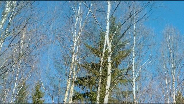 Предчувствие весны. Эрнесто Кортазар -Dancing on the Clouds