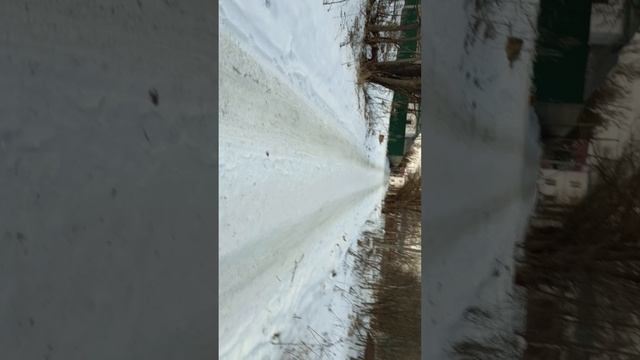 1000010553.mp4