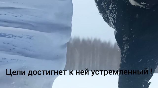 31 января . У меня сегодня День рождения