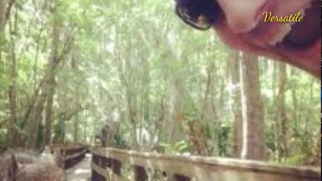 10th English |The Adventures in a Banyan Tree | class 1 | English class 10 by dailyenglishclassroom