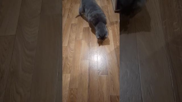 Что с этим делать..