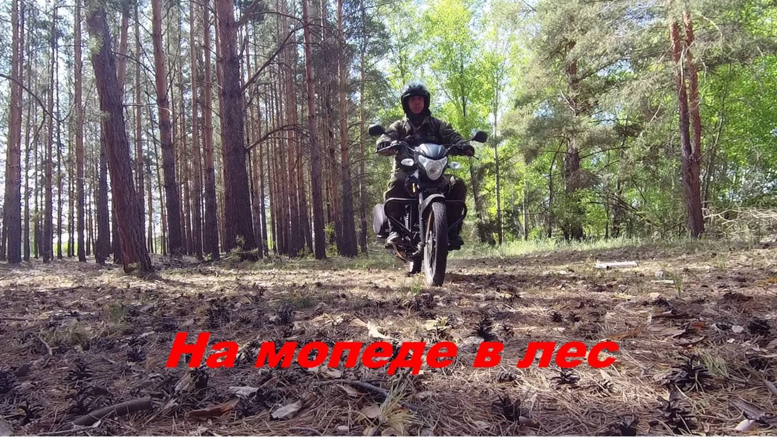 На мопеде в лес. По глухим местам.