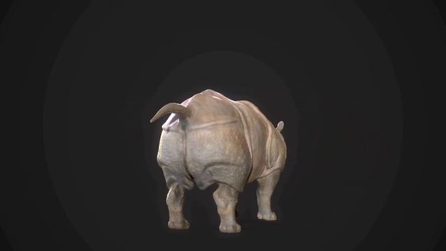 Indian Rhinoceros - PBR 3d model