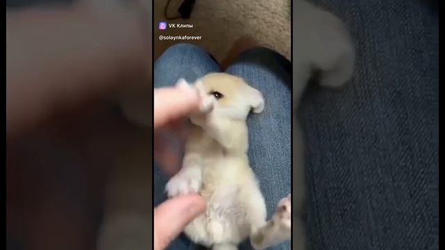 1000008981.mp4