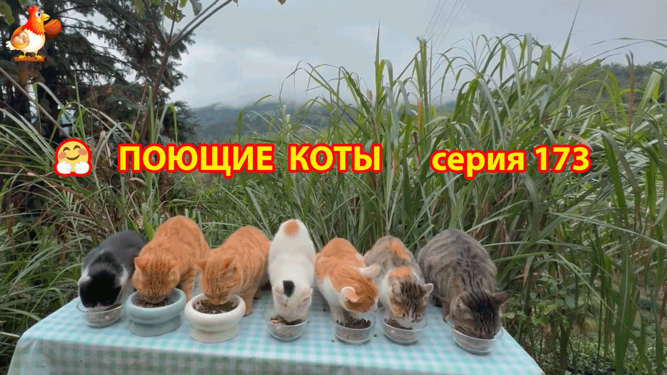 Крутые коты у птичьего двора серия (173) 🐈🐈😹 Природа Абхазии и подворье с птицами и животными ❣