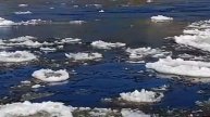 «ОТОШЛИ ОТ МЕНЯ, ОТОШЛИ ОТ МЕНЯ ДО ЕДИНОГО...» Иеромонах Роман, исп. Л. Скат
