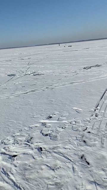 23 февраля 2025 Иваньковское водохранилище, сидел на 9 метрах морковка, Улов не большой