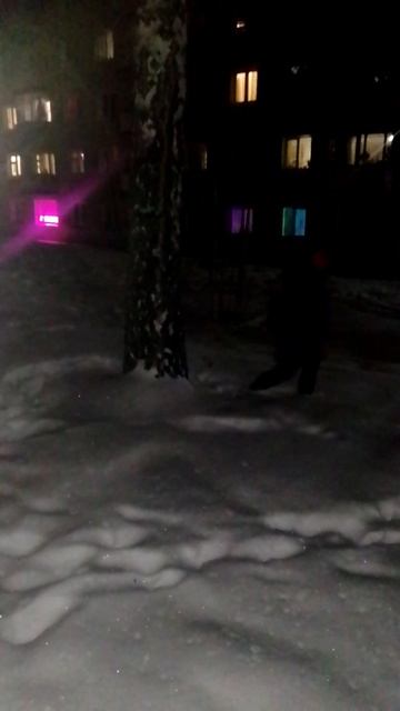 Последняя снежная зима