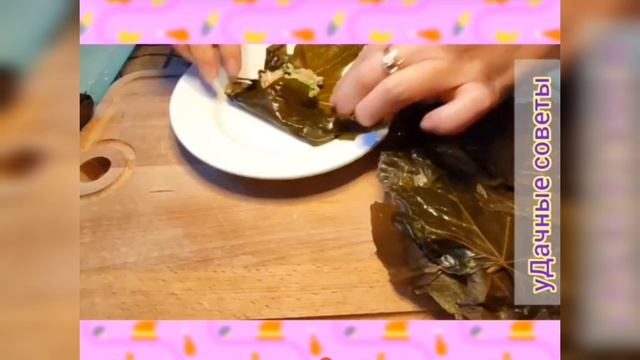 Рецепт долмы из виноградных листьев 🍲