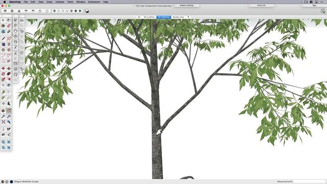 Trees at 9 different levels of detail | SketchUp for landscape architecture