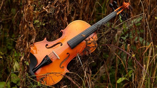 Скрипка музыка. Современная скрипка. Спокойная скрипка. Грустная скрипка. Классическая музыка