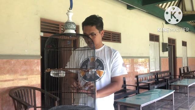 Rujak Nektar Pakan Ampuh Untuk Kolibri Ninja