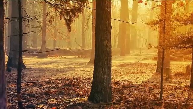 Супер сборник!!! Великолепная инструментальная музыка. Красивые пейзажи /Instrumental music