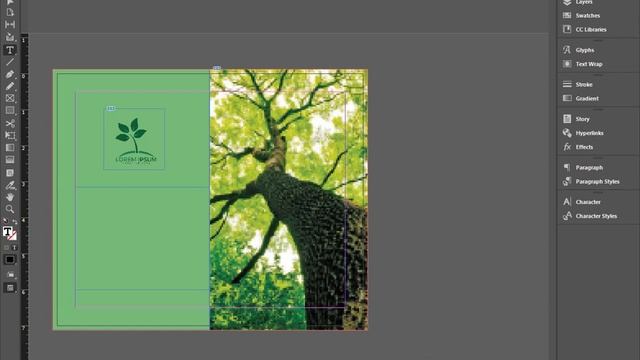 Indesign Brochure Design Tutorial for Beginners