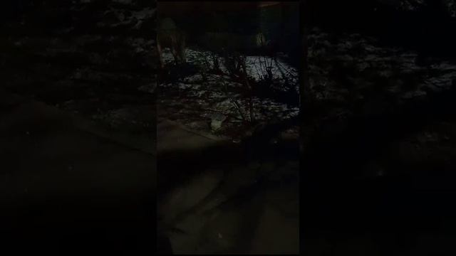 Просто видео, чтобы рутуб заработал