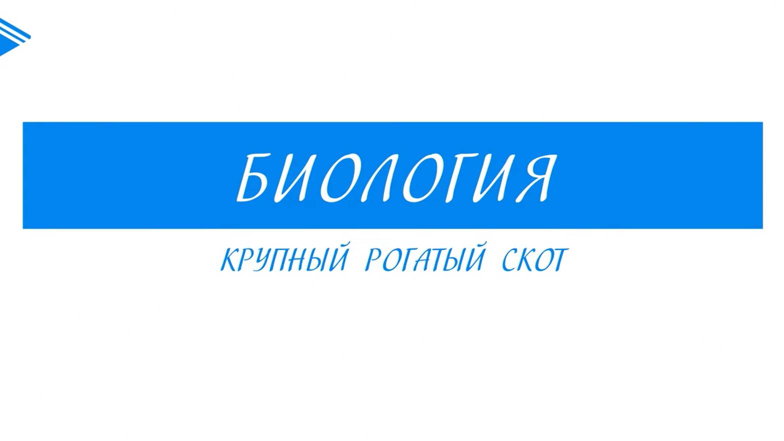 7 класс - Биология - Крупный рогатый скот