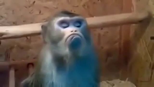 Я Обиделась