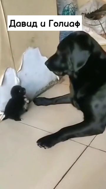 Почитайте эту историю из библии, эта сцена очень напоминает 🤣1-е Царств 17 глава