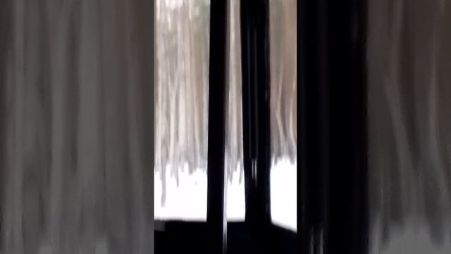 на́ болотоходе