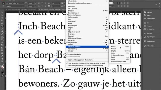 les 19 Markeringen in InDesign: index