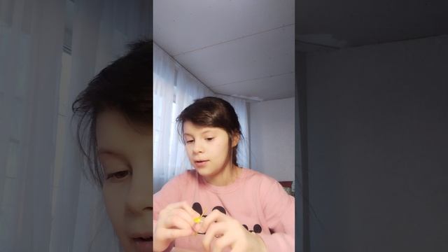 Распоковка уточки в машину