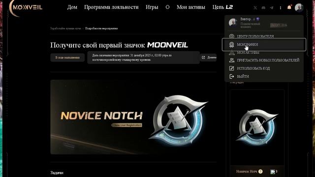 Тестнет Moonveil на 11 МИЛЛИОНОВ долларов ЗАПУЩЕН!
 Проект уже привлек серьезные инвестиции в node-