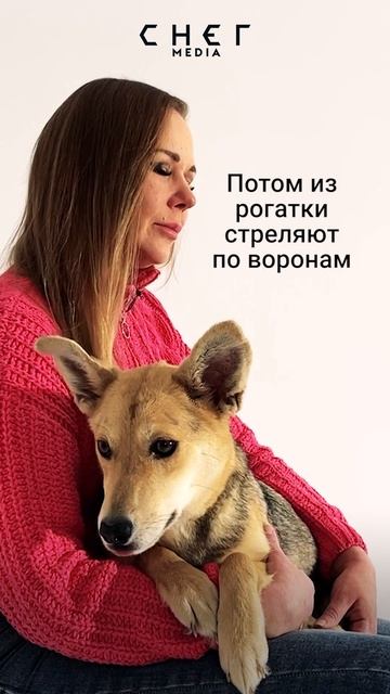 Живая мишень