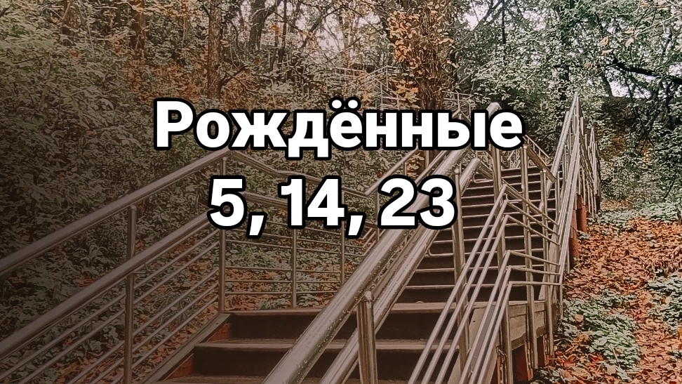 Рождённые 5,14,23 числа