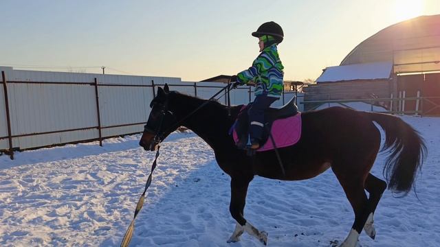 Алеша и Флейта, наш самый юный спортсмен 5 лет. #horse #equestrian #лошади #pony