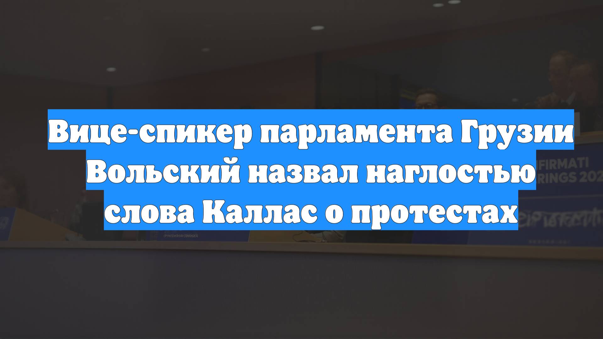 Вице-спикер парламента Грузии Вольский назвал наглостью слова Каллас о протестах