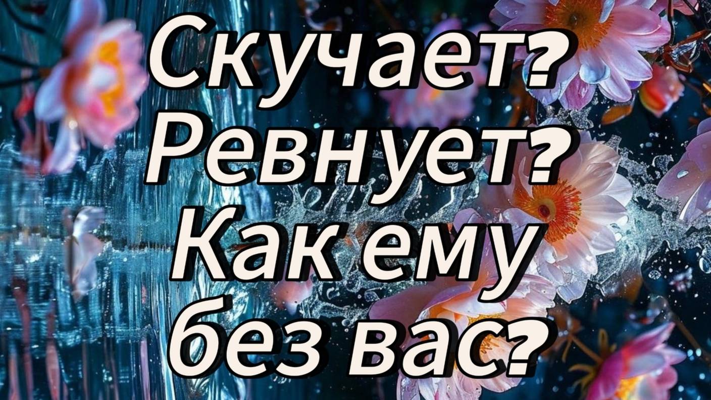 Скучает? Ревнует? Как ему без вас?