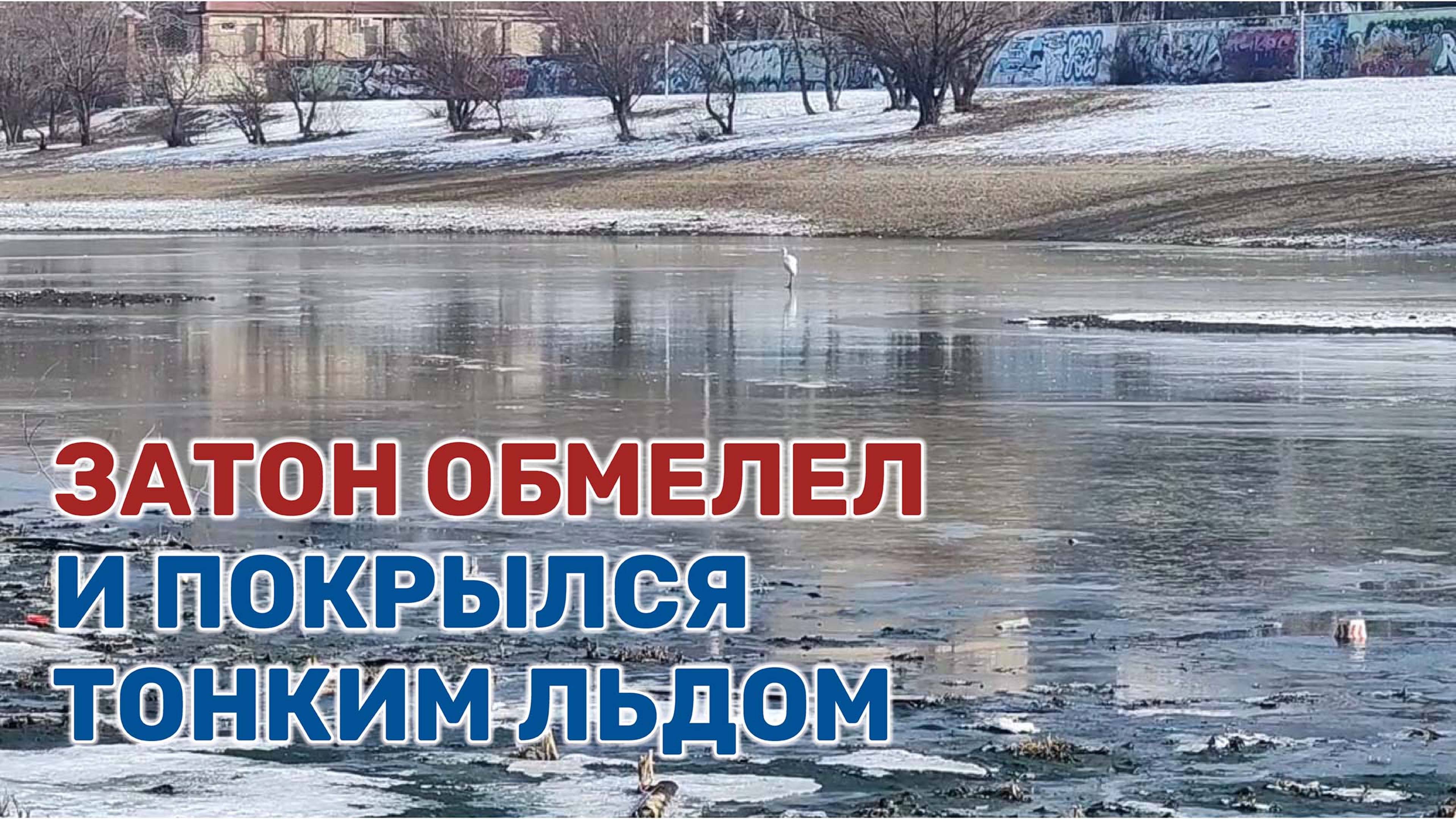 Видео от наших подписчиков из Краснодара