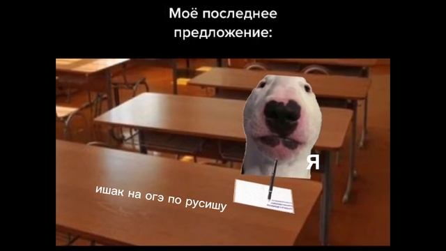 МУД КРИНЖ ЛУНТИК МАША И МЕДВЕДЬ, ТИК ТОК💤💤💤💥🌈🌈🌈🌈