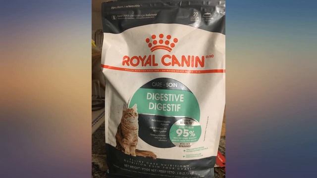 Royal Canin Digestive Care Dry Cat Food review