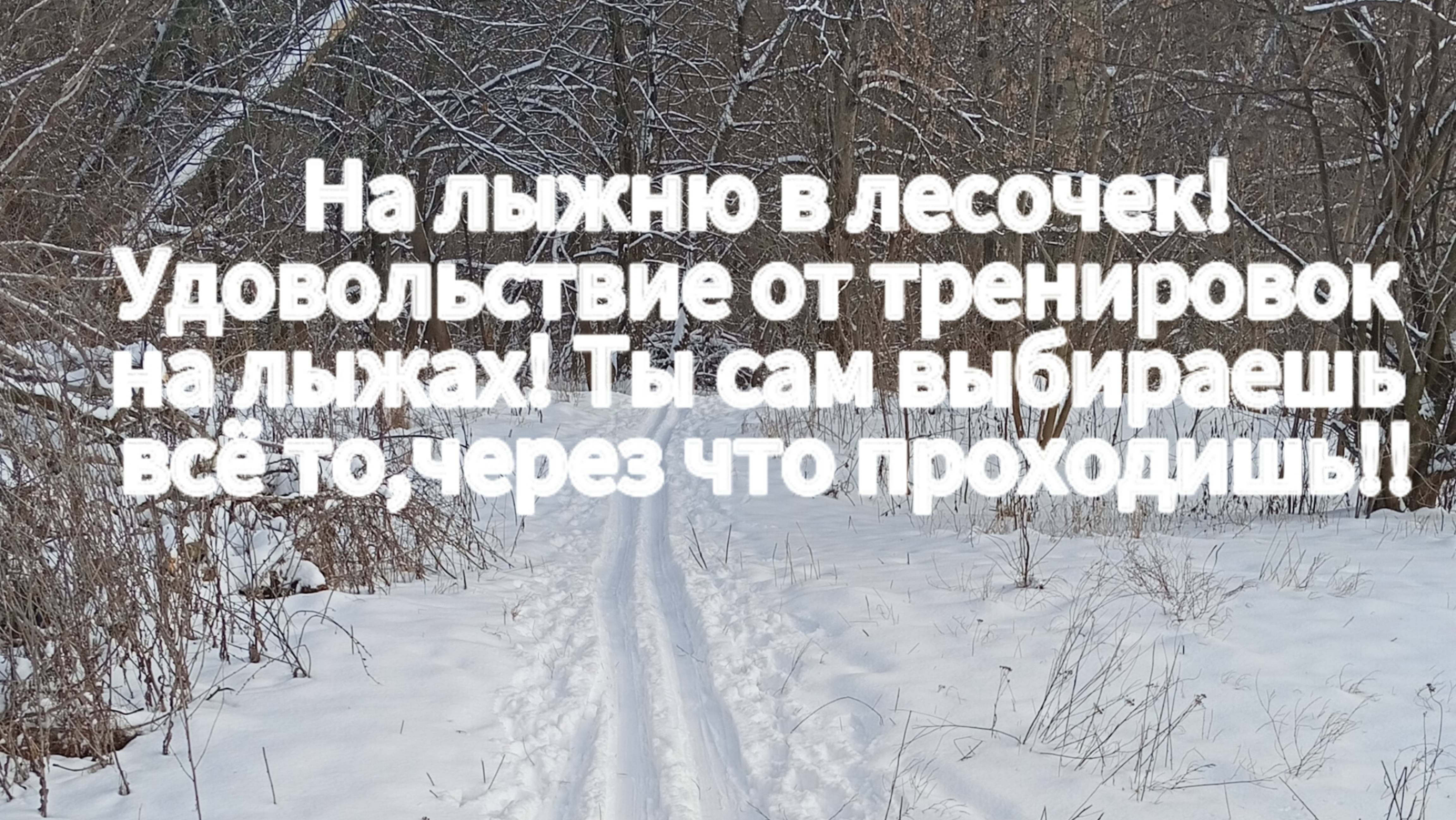 На лыжню в лесочек!Ты сам выбираешь всё то, через что проходишь в жизни!Удовольствие и красота леса