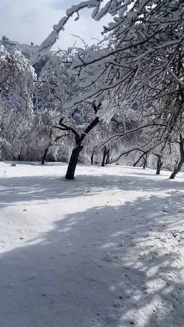 Меня удивляет эта красота Швейцария эт второй Табасаран #табасаран#табасаранскаясвадьба