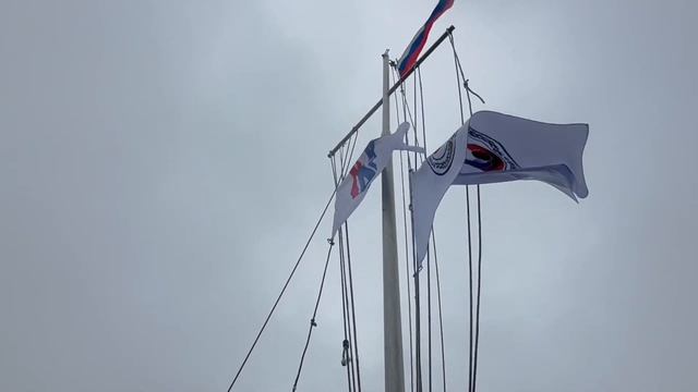 Flag of the International SAMBO Federation was raised in Antarctica