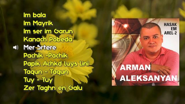 Arman Aleksanyan - Hasak em Arel-2 | Армянская музыка | Armenian music | Հայկական երաժշտություն