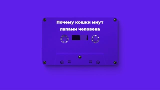 Почему кошки мнут лапами человека