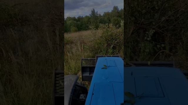 Расчистка земель мульчером. Корчевание.