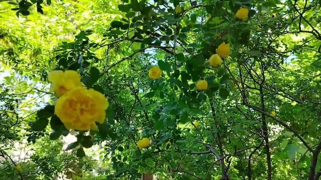 Для тех, кто любит и скучает по #Анапе. Это для вас ❤️