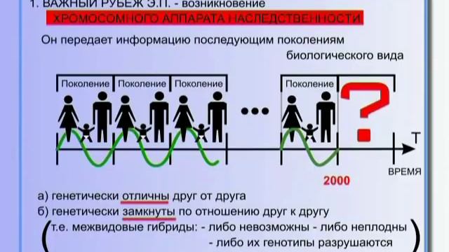 КОБ - Глобальный Эволюционный Процесс