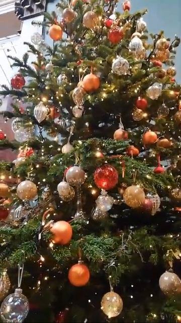 The Christmas Tree in the National Gallery and Monet's Water Lilies
